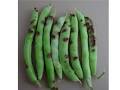 Green Beans - image 3
