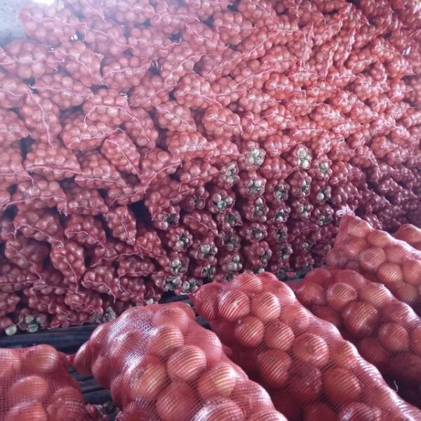 10kg pockets of onions for sale