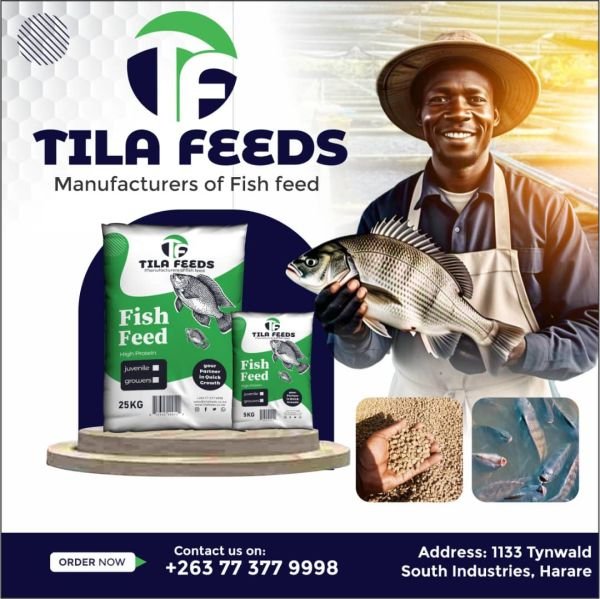 FISH FEED