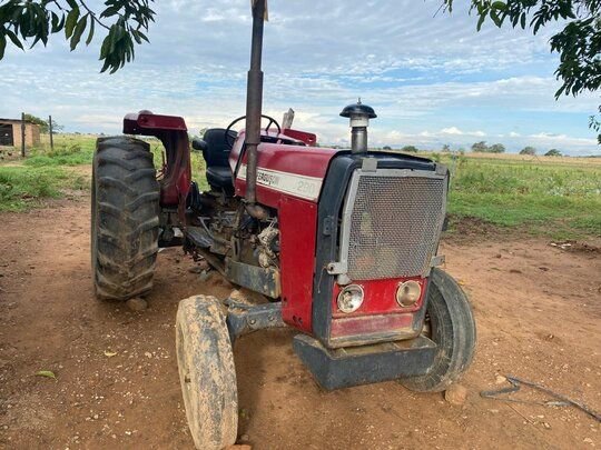 Tractor For Sale MF 290