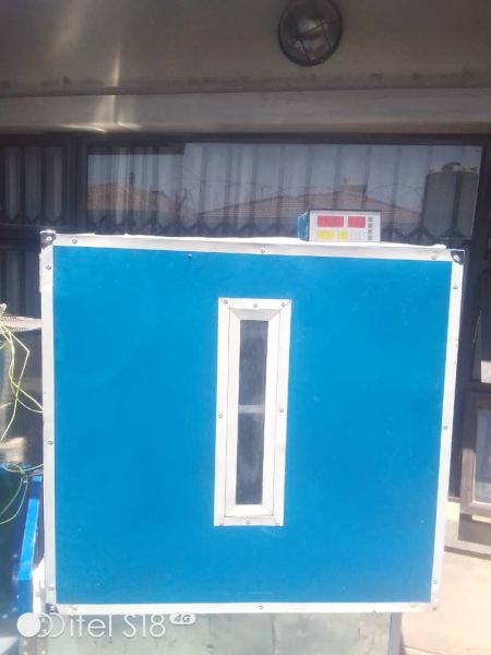 Egg incubators for sale