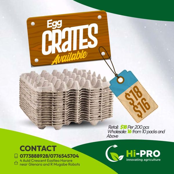 36 egg trays for sale