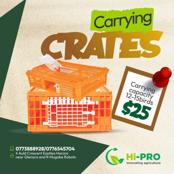 Chicken transferring crates for sale