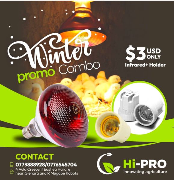 Infrared lights & lamp holders