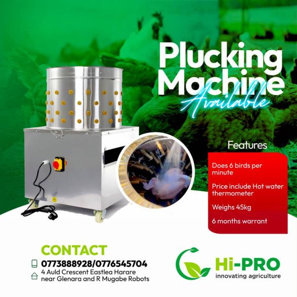 Chicken plucker machine for sale