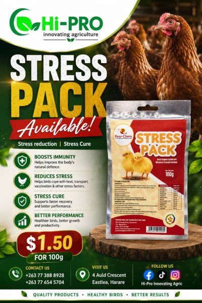 Chicken stress pack