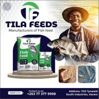 'sales@tilafeeds